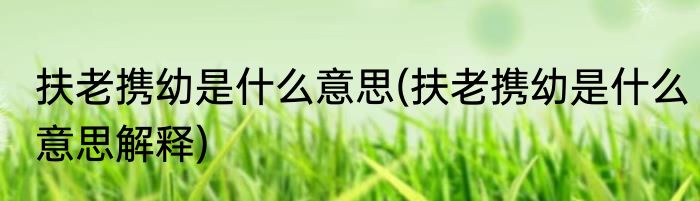 扶老携幼是什么意思(扶老携幼是什么意思解释)