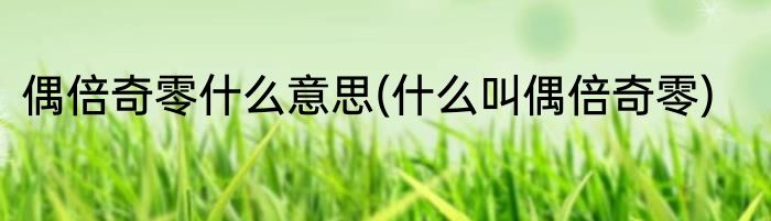 偶倍奇零什么意思(什么叫偶倍奇零)