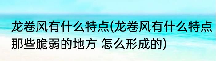 龙卷风有什么特点(龙卷风有什么特点那些脆弱的地方 怎么形成的)