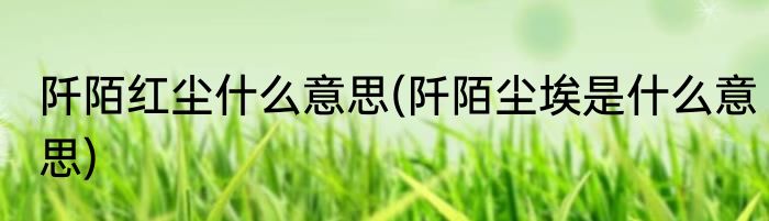 阡陌红尘什么意思(阡陌尘埃是什么意思)