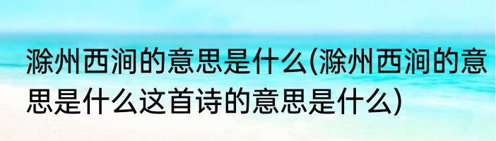 滁州西涧的意思是什么(滁州西涧的意思是什么这首诗的意思是什么)