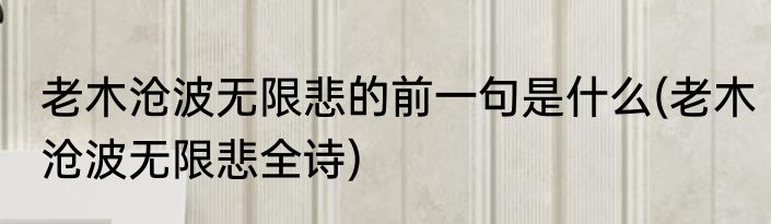 老木沧波无限悲的前一句是什么(老木沧波无限悲全诗)