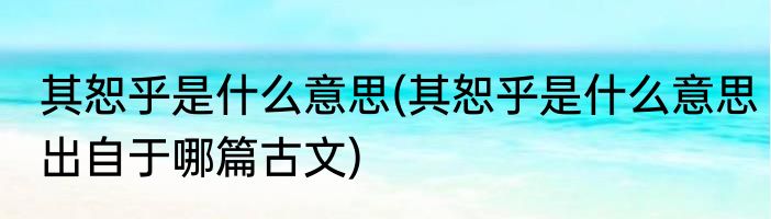 其恕乎是什么意思(其恕乎是什么意思出自于哪篇古文)