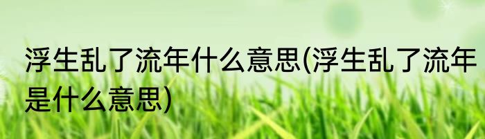 浮生乱了流年什么意思(浮生乱了流年是什么意思)