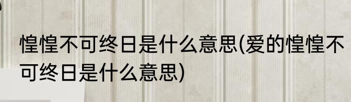 惶惶不可终日是什么意思(爱的惶惶不可终日是什么意思)