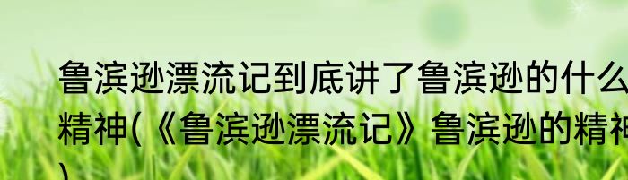 鲁滨逊漂流记到底讲了鲁滨逊的什么精神(《鲁滨逊漂流记》鲁滨逊的精神)