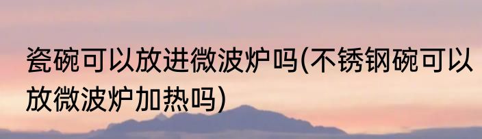 瓷碗可以放进微波炉吗(不锈钢碗可以放微波炉加热吗)