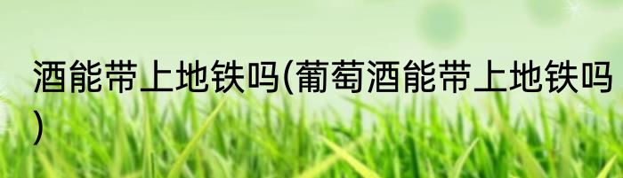 酒能带上地铁吗(葡萄酒能带上地铁吗)