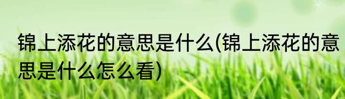 锦上添花的意思是什么(锦上添花的意思是什么怎么看)