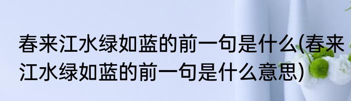 春来江水绿如蓝的前一句是什么(春来江水绿如蓝的前一句是什么意思)
