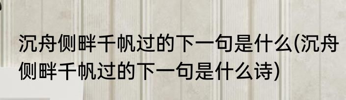 沉舟侧畔千帆过的下一句是什么(沉舟侧畔千帆过的下一句是什么诗)
