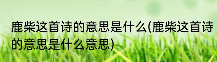 鹿柴这首诗的意思是什么(鹿柴这首诗的意思是什么意思)