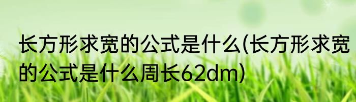 长方形求宽的公式是什么(长方形求宽的公式是什么周长62dm)