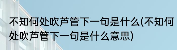 不知何处吹芦管下一句是什么(不知何处吹芦管下一句是什么意思)