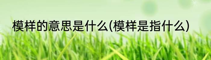 模样的意思是什么(模样是指什么)