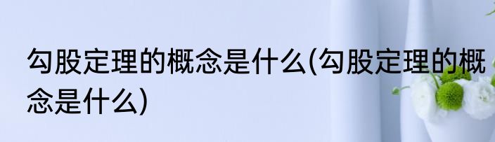 勾股定理的概念是什么(勾股定理的概念是什么)