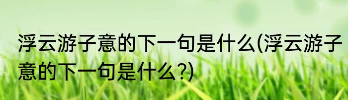 浮云游子意的下一句是什么(浮云游子意的下一句是什么?)
