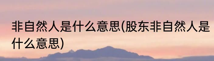 非自然人是什么意思(股东非自然人是什么意思)