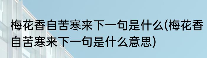 梅花香自苦寒来下一句是什么(梅花香自苦寒来下一句是什么意思)