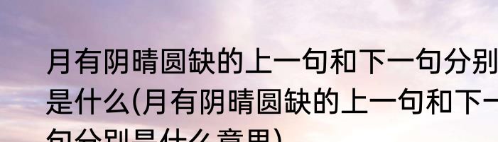 月有阴晴圆缺的上一句和下一句分别是什么(月有阴晴圆缺的上一句和下一句分别是什么意思)