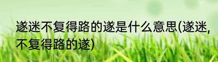 遂迷不复得路的遂是什么意思(遂迷,不复得路的遂)