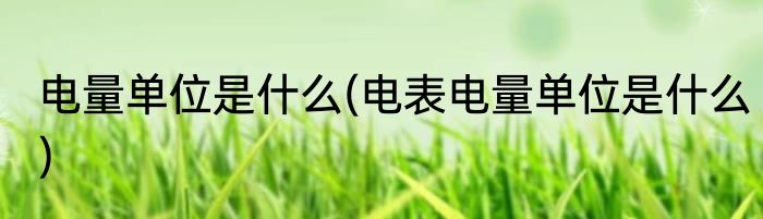 电量单位是什么(电表电量单位是什么)