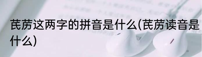 芪苈这两字的拼音是什么(芪苈读音是什么)