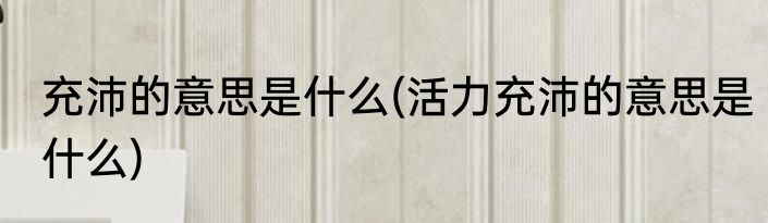 充沛的意思是什么(活力充沛的意思是什么)
