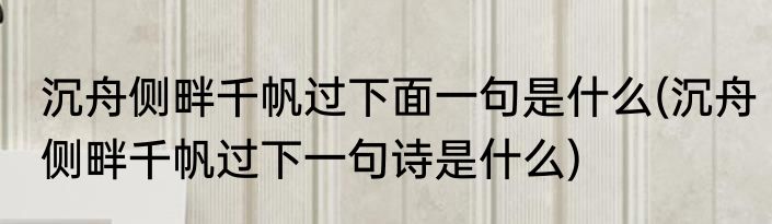 沉舟侧畔千帆过下面一句是什么(沉舟侧畔千帆过下一句诗是什么)