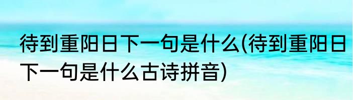 待到重阳日下一句是什么(待到重阳日下一句是什么古诗拼音)
