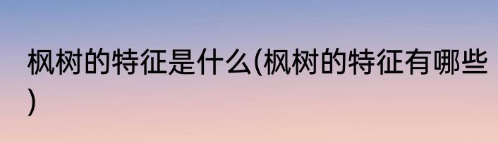 枫树的特征是什么(枫树的特征有哪些)