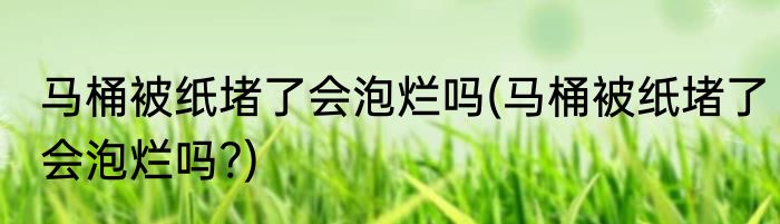 马桶被纸堵了会泡烂吗(马桶被纸堵了会泡烂吗?)