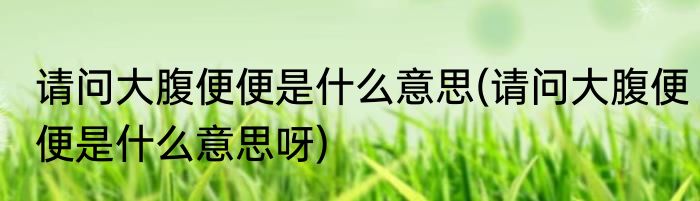 请问大腹便便是什么意思(请问大腹便便是什么意思呀)