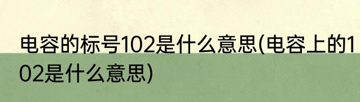 电容的标号102是什么意思(电容上的102是什么意思)