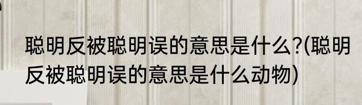 聪明反被聪明误的意思是什么?(聪明反被聪明误的意思是什么动物)