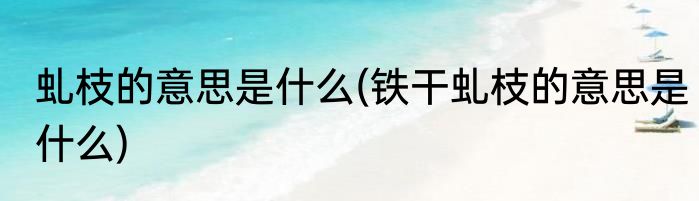 虬枝的意思是什么(铁干虬枝的意思是什么)