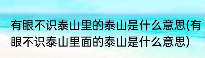 有眼不识泰山里的泰山是什么意思(有眼不识泰山里面的泰山是什么意思)
