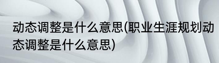 动态调整是什么意思(职业生涯规划动态调整是什么意思)