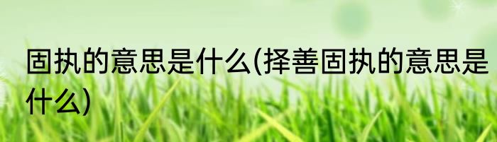 固执的意思是什么(择善固执的意思是什么)