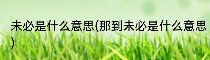 未必是什么意思(那到未必是什么意思)