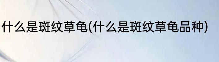 什么是斑纹草龟(什么是斑纹草龟品种)