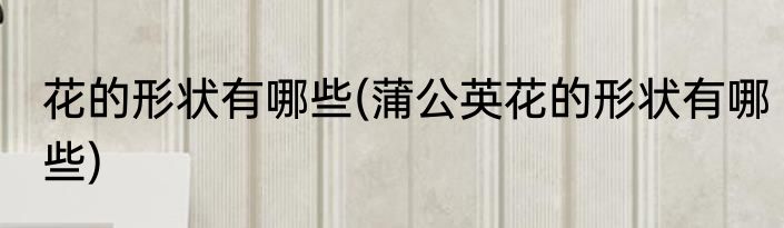 花的形状有哪些(蒲公英花的形状有哪些)