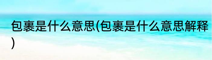 包裹是什么意思(包裹是什么意思解释)