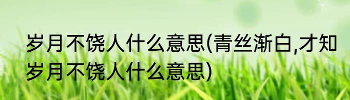 岁月不饶人什么意思(青丝渐白,才知岁月不饶人什么意思)