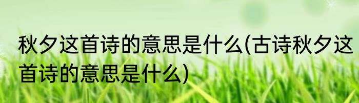 秋夕这首诗的意思是什么(古诗秋夕这首诗的意思是什么)