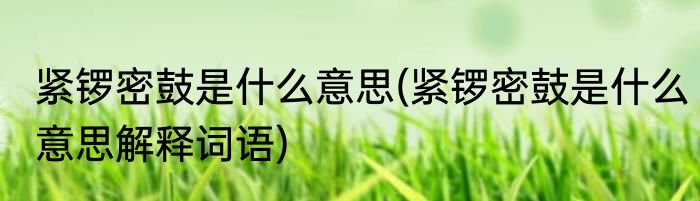 紧锣密鼓是什么意思(紧锣密鼓是什么意思解释词语)