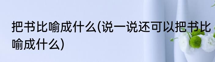 把书比喻成什么(说一说还可以把书比喻成什么)