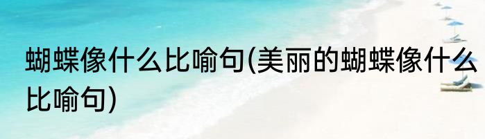 蝴蝶像什么比喻句(美丽的蝴蝶像什么比喻句)