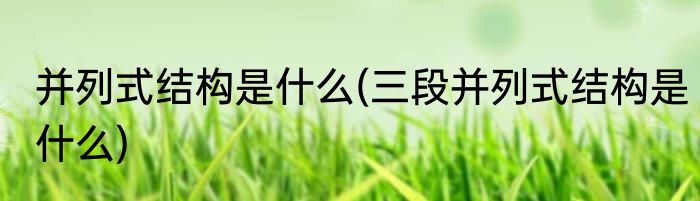 并列式结构是什么(三段并列式结构是什么)