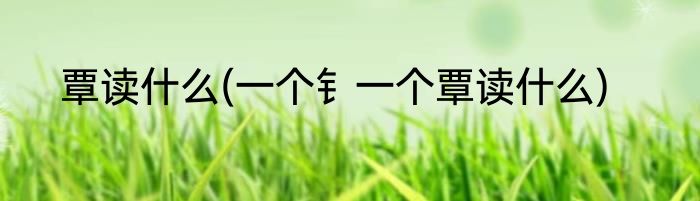 覃读什么(一个钅一个覃读什么)